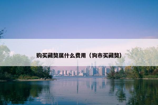 购买藏獒属什么费用（狗市买藏獒）