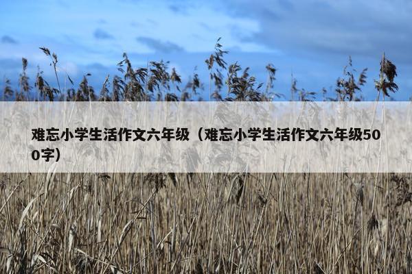 难忘小学生活作文六年级（难忘小学生活作文六年级500字）
