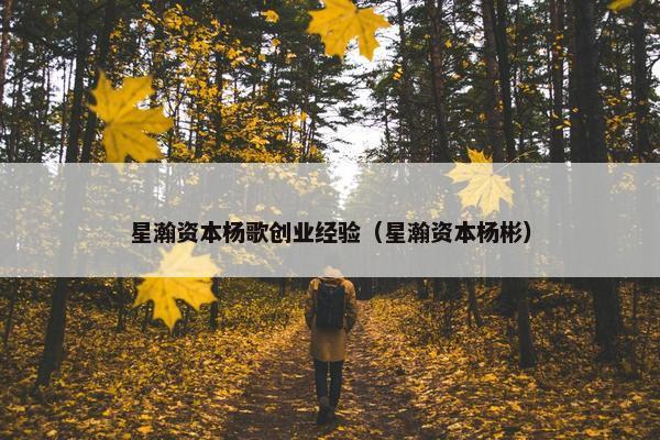 星瀚资本杨歌创业经验（星瀚资本杨彬）