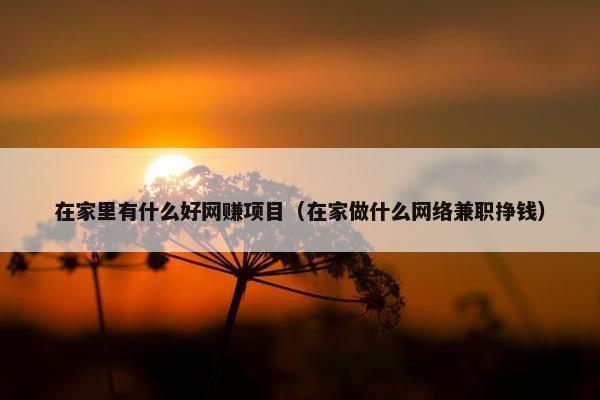 在家里有什么好网赚项目（在家做什么网络兼职挣钱）