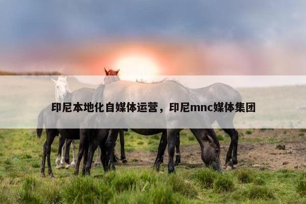 印尼本地化自媒体运营，印尼mnc媒体集团