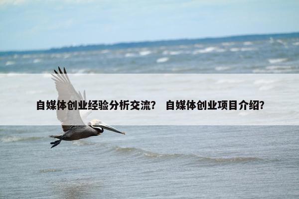 自媒体创业经验分析交流？ 自媒体创业项目介绍？