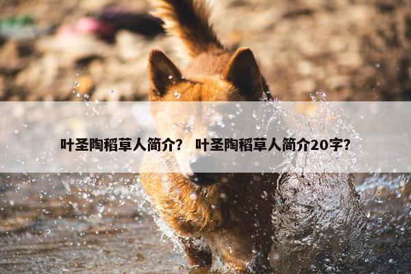 叶圣陶稻草人简介？ 叶圣陶稻草人简介20字？
