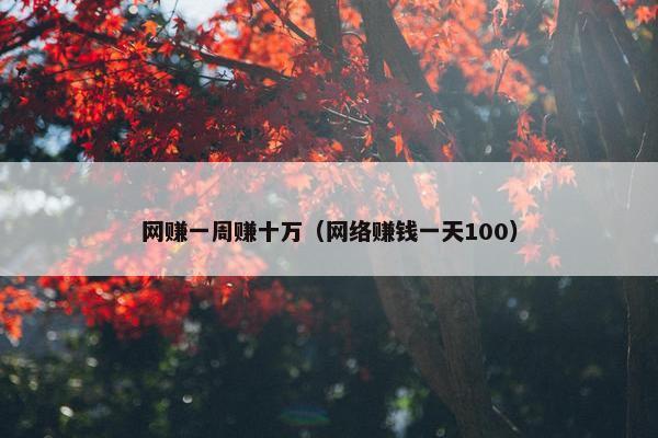 网赚一周赚十万（网络赚钱一天100）