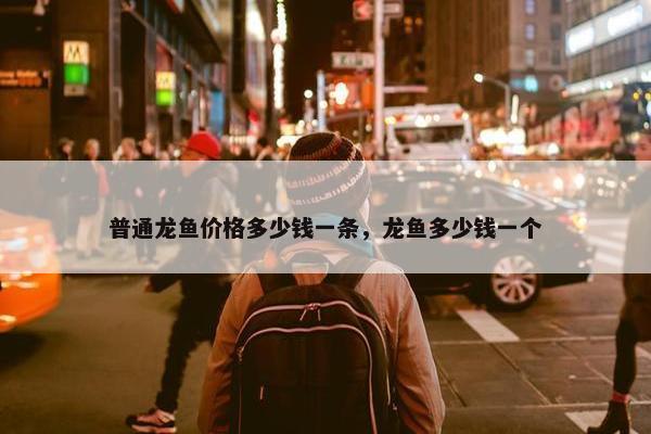 普通龙鱼价格多少钱一条，龙鱼多少钱一个