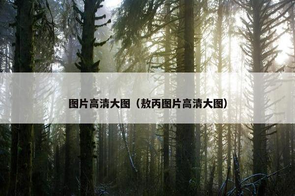 图片高清大图（敖丙图片高清大图）