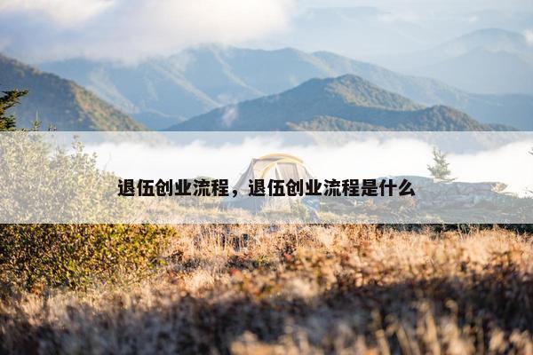 退伍创业流程，退伍创业流程是什么