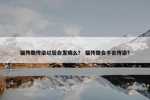 猫传腹传染以后会发病么？ 猫传腹会不会传染？