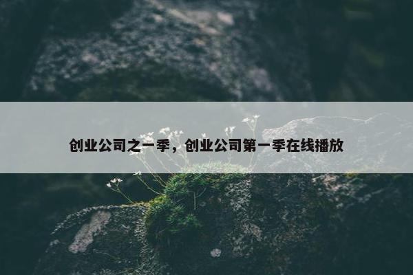 创业公司之一季，创业公司第一季在线播放