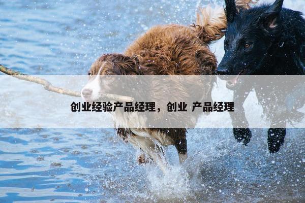 创业经验产品经理，创业 产品经理