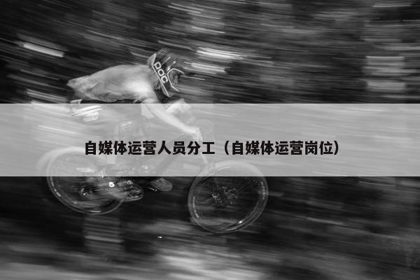 自媒体运营人员分工（自媒体运营岗位）