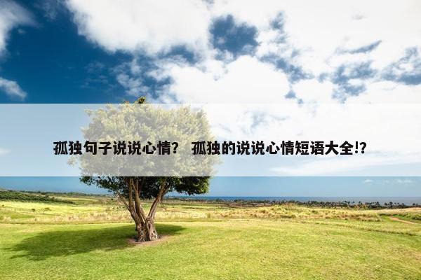孤独句子说说心情？ 孤独的说说心情短语大全!？