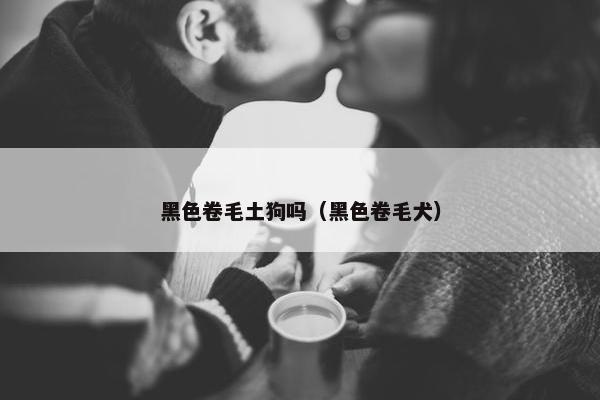 黑色卷毛土狗吗（黑色卷毛犬）