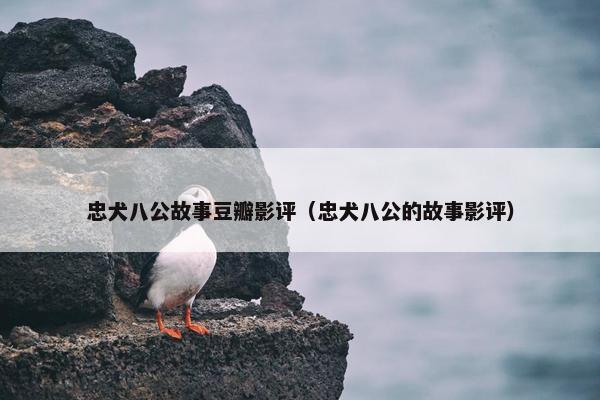 忠犬八公故事豆瓣影评（忠犬八公的故事影评）