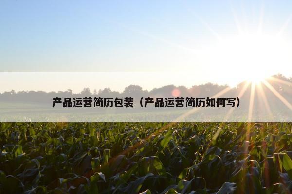 产品运营简历包装（产品运营简历如何写）