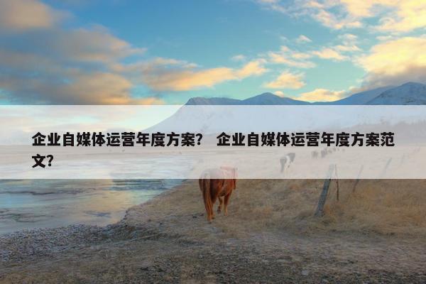 企业自媒体运营年度方案？ 企业自媒体运营年度方案范文？