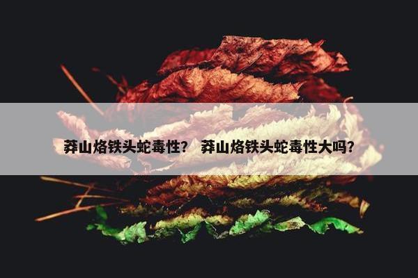莽山烙铁头蛇毒性？ 莽山烙铁头蛇毒性大吗？