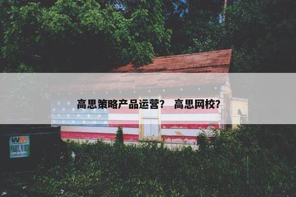 高思策略产品运营？ 高思网校？