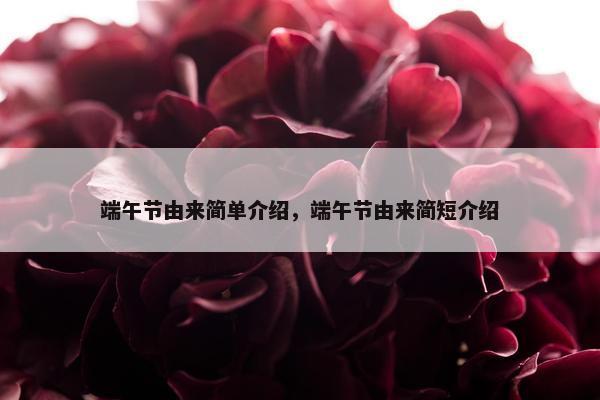 端午节由来简单介绍，端午节由来简短介绍