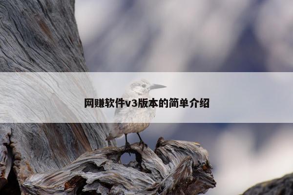 网赚软件v3版本的简单介绍