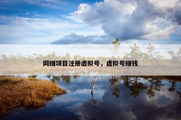 网赚项目注册虚拟号，虚拟号赚钱