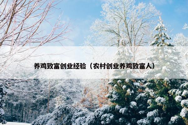养鸡致富创业经验（农村创业养鸡致富人）
