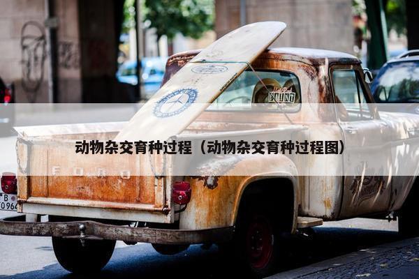 动物杂交育种过程（动物杂交育种过程图）