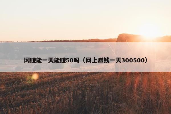 网赚能一天能赚50吗（网上赚钱一天300500）