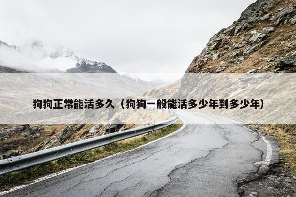 狗狗正常能活多久（狗狗一般能活多少年到多少年）