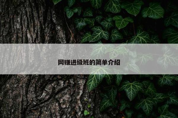 网赚进级班的简单介绍