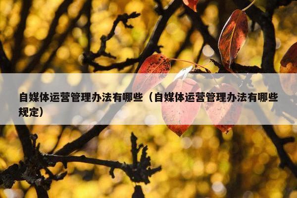 自媒体运营管理办法有哪些（自媒体运营管理办法有哪些规定）