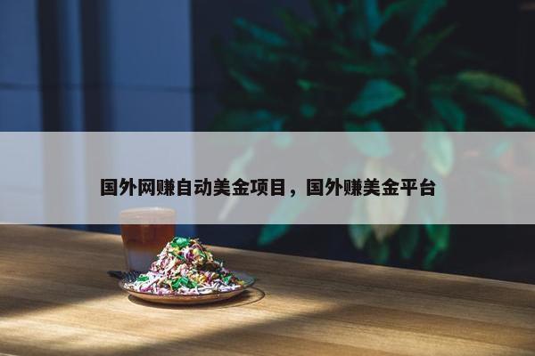 国外网赚自动美金项目，国外赚美金平台