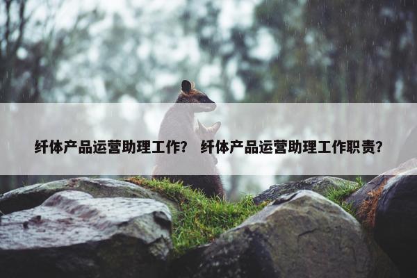 纤体产品运营助理工作？ 纤体产品运营助理工作职责？