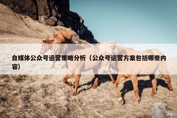 自媒体公众号运营策略分析（公众号运营方案包括哪些内容）