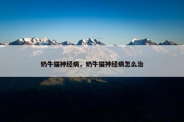 奶牛猫神经病，奶牛猫神经病怎么治