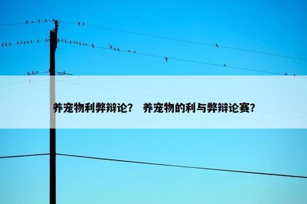 养宠物利弊辩论？ 养宠物的利与弊辩论赛？