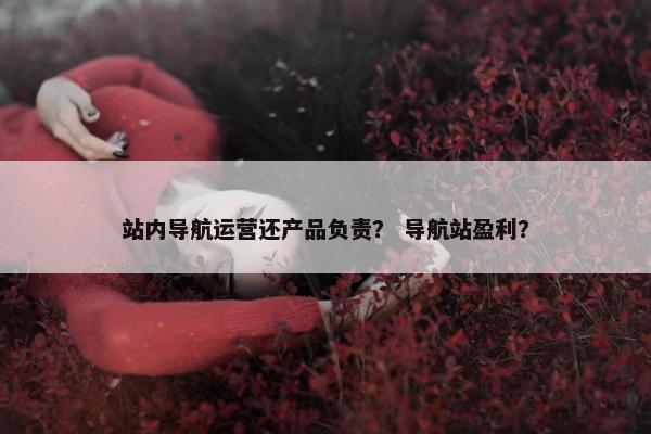 站内导航运营还产品负责？ 导航站盈利？