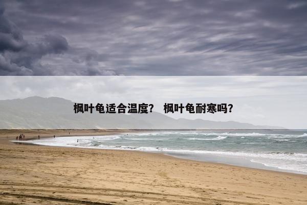 枫叶龟适合温度？ 枫叶龟耐寒吗？