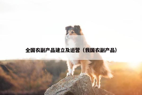 全国农副产品建立及运营（我国农副产品）