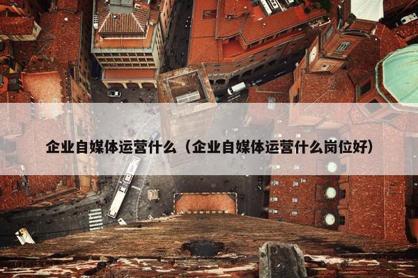 企业自媒体运营什么（企业自媒体运营什么岗位好）