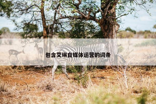 包含艾琳自媒体运营的词条