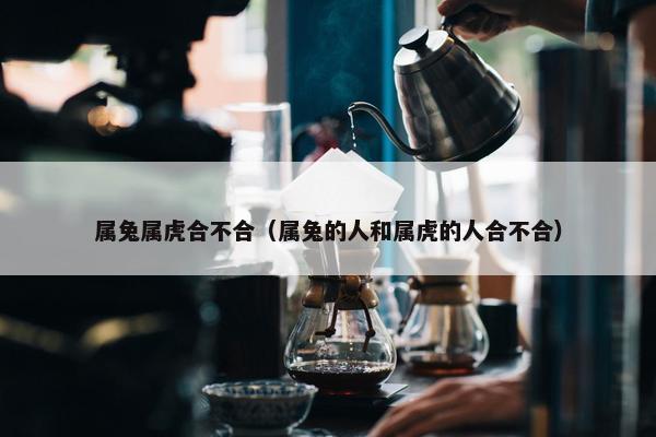 属兔属虎合不合（属兔的人和属虎的人合不合）