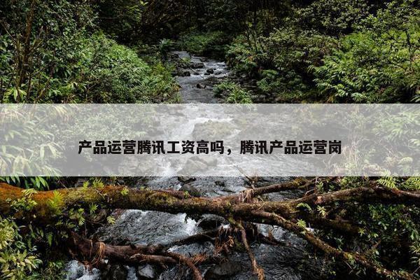 产品运营腾讯工资高吗，腾讯产品运营岗