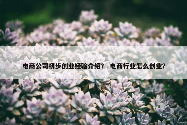 电商公司初步创业经验介绍？ 电商行业怎么创业？