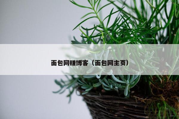 面包网赚博客（面包网主页）