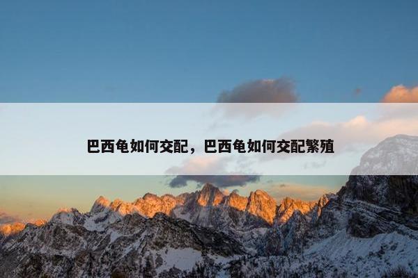 巴西龟如何交配，巴西龟如何交配繁殖