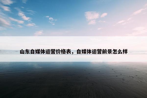 山东自媒体运营价格表，自媒体运营前景怎么样