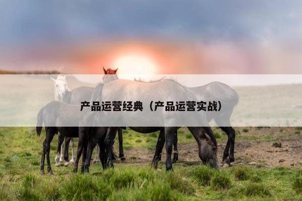产品运营经典（产品运营实战）