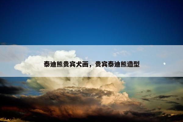 泰迪熊贵宾犬画，贵宾泰迪熊造型
