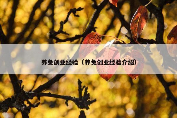 养兔创业经验（养兔创业经验介绍）
